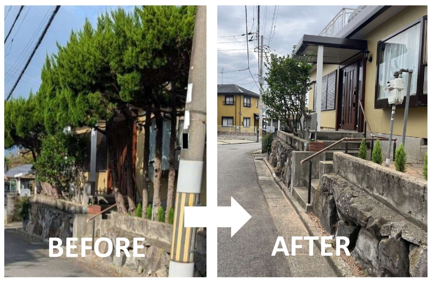 阪南市・K様邸 【樹木撤去工事】